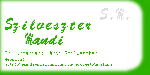 szilveszter mandi business card